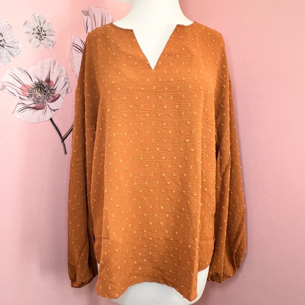 NWT Medium & XXL Rust Orange Long Sleeve Top Swiss Dot Burnt Orange V Neck 124